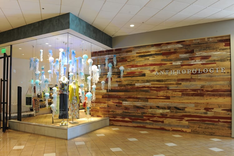 Images of Case Studies