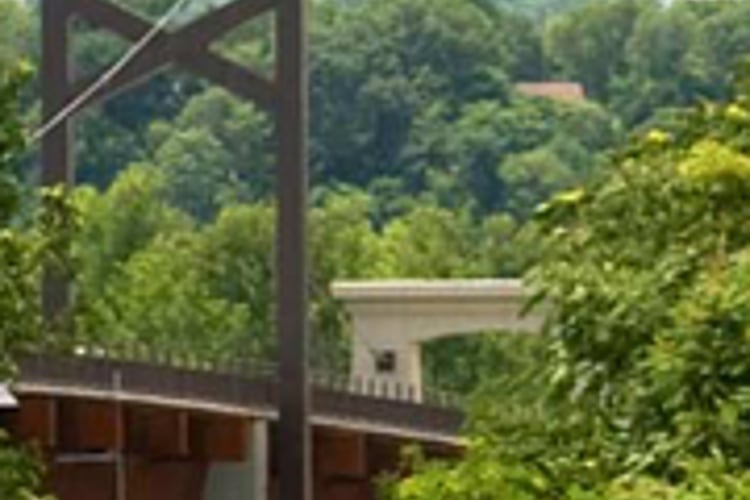 Images of Case Studies